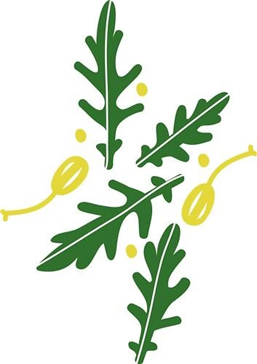 Arugula And Capers