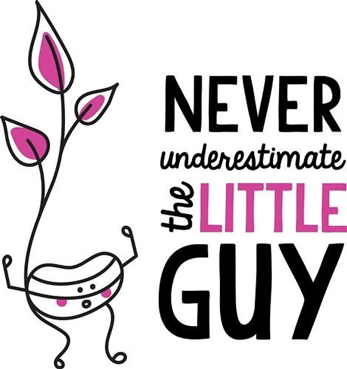 The Little Guy