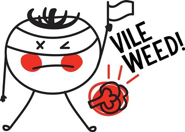 Vile Weed