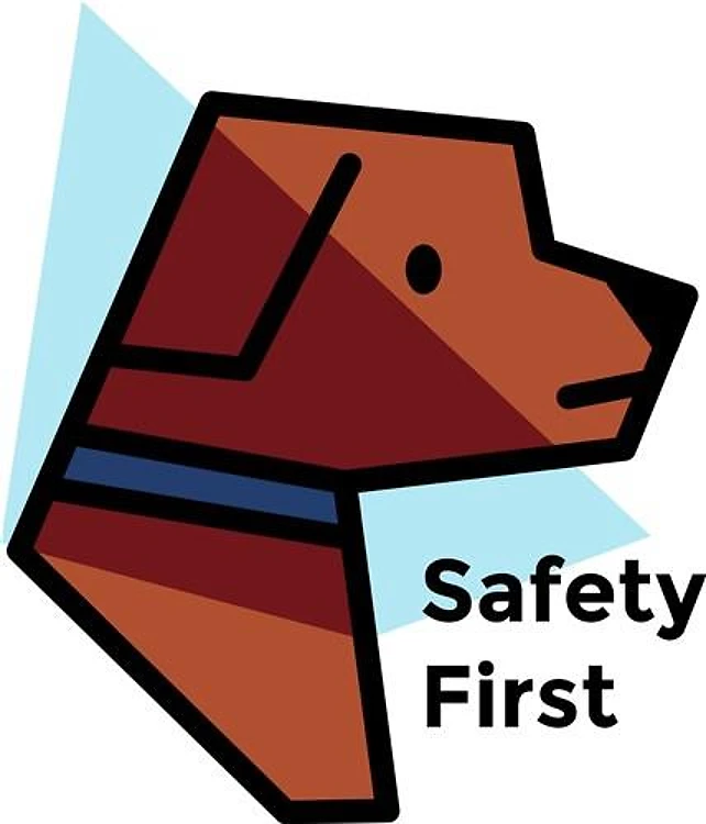Safety First Dog