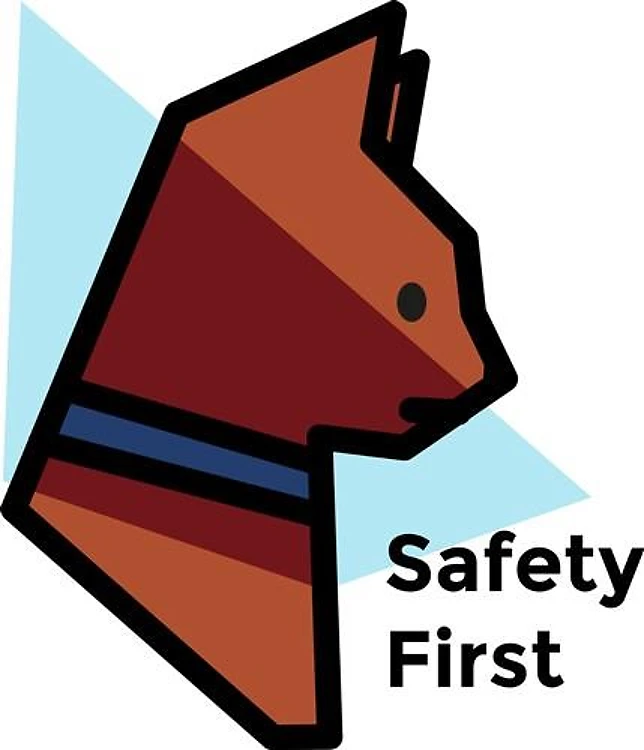 Cat Cone Safety First