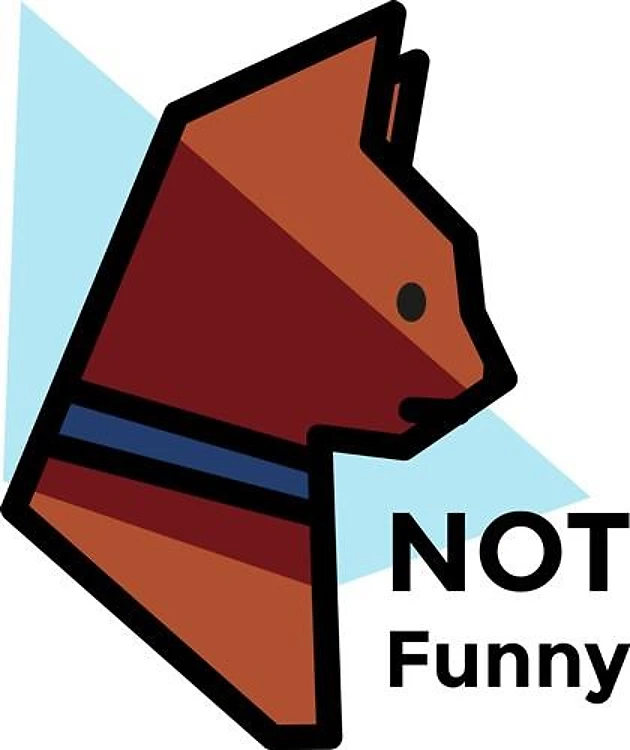 Not Funny Cat