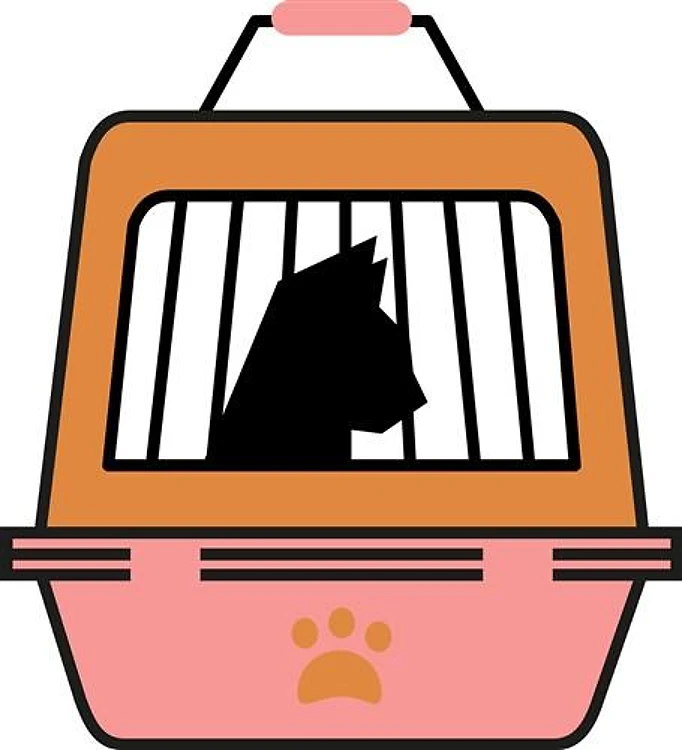Cat Carrier