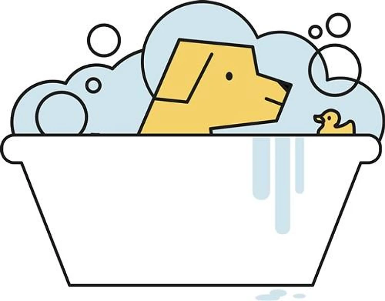 Dog Bath