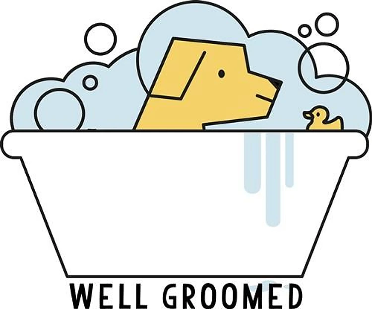 Well Groomed Dog