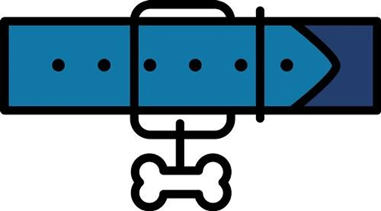 Dog Collar