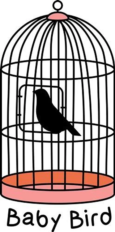 Baby Bird Cage
