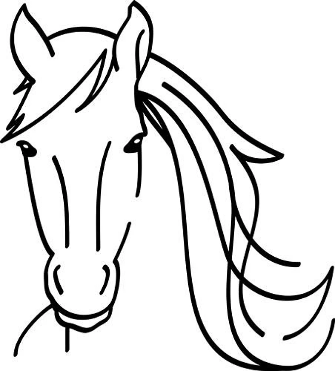 Horse Head Outline