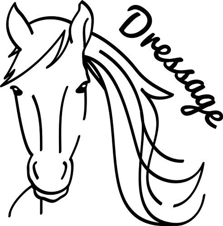 Horse Dressage