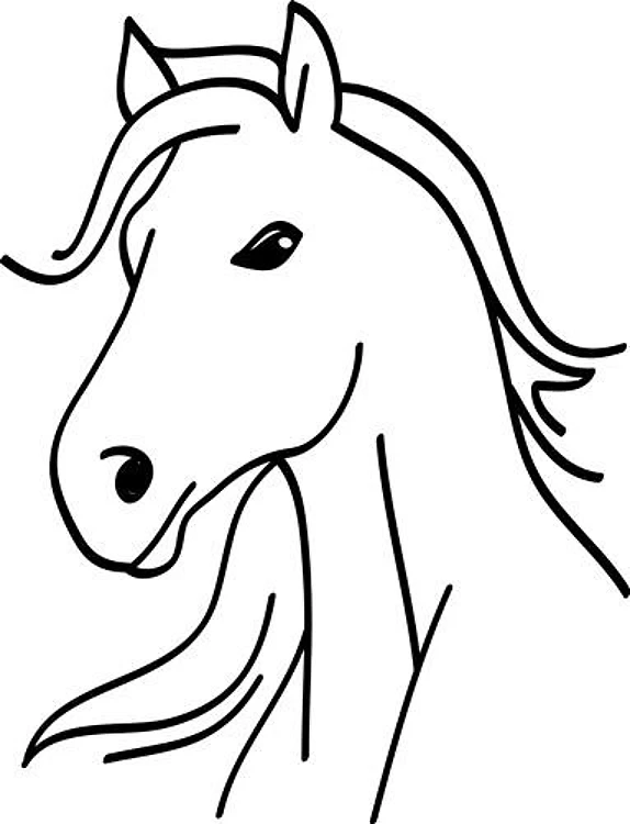 Horse Head Outline
