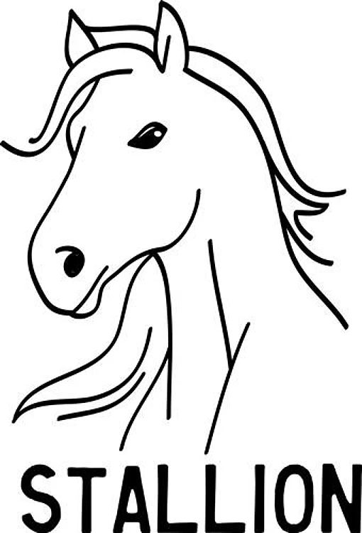Stallion Head Outline
