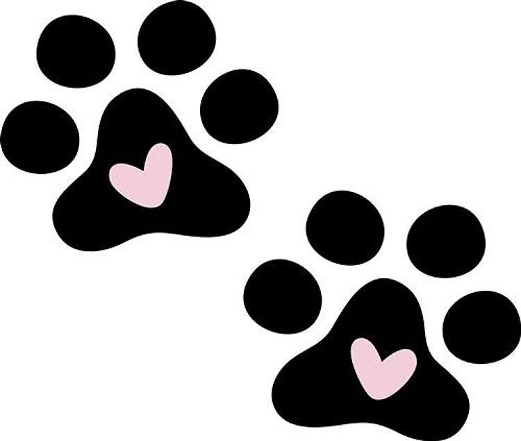 Dog Footprints