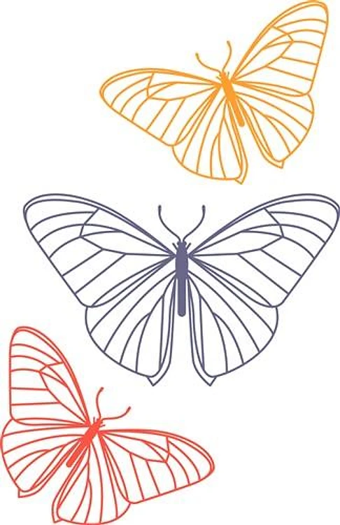 Butterfly Trio Outline