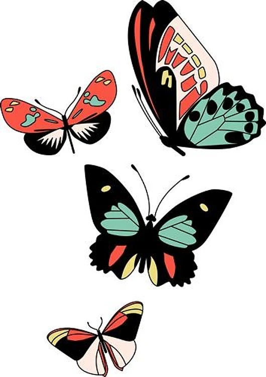Colorful Butterflies