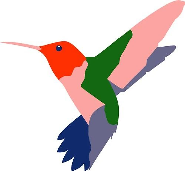 Colorful Hummingbird