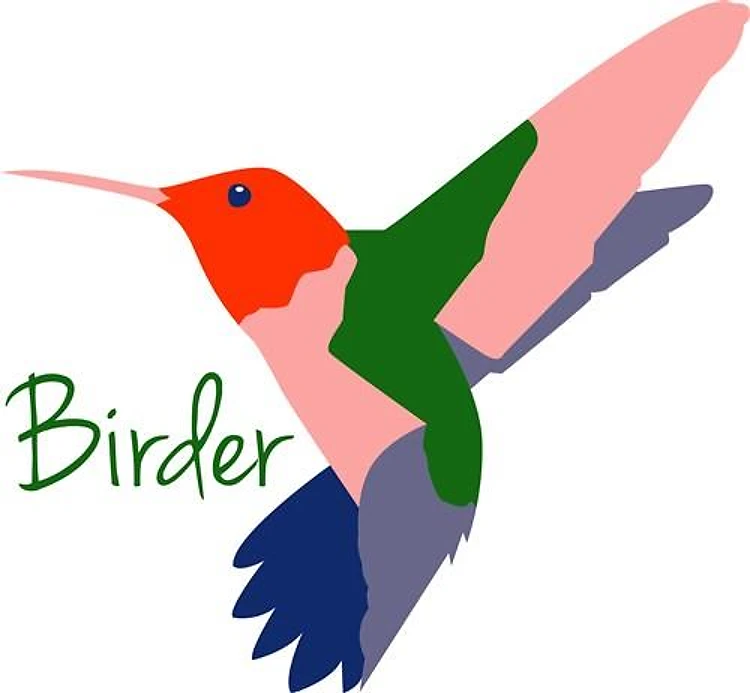 Hummingbird