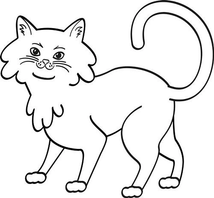 Kitten Outline