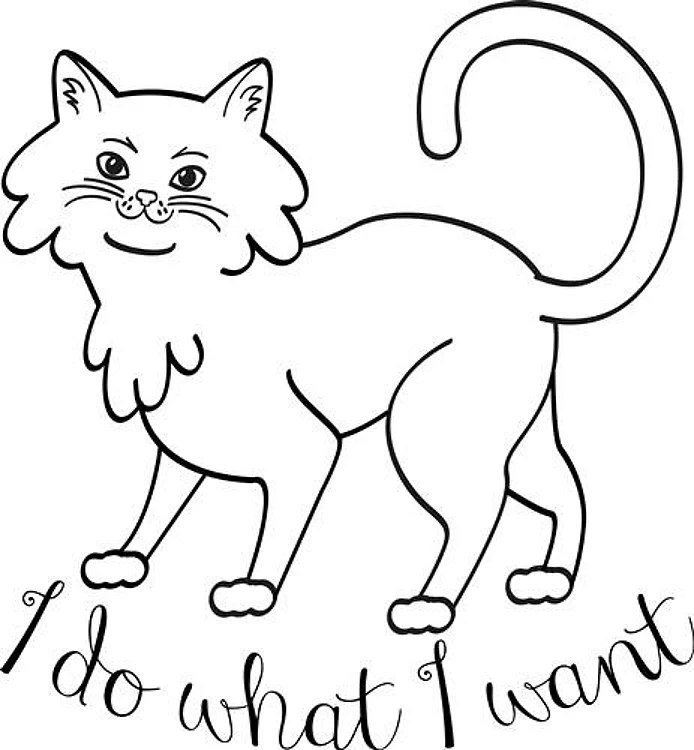 What I Want Kitty