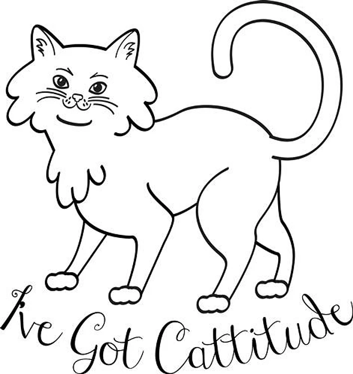 Cattitude Outline