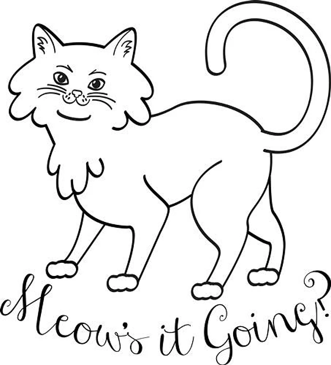 Meows It Going