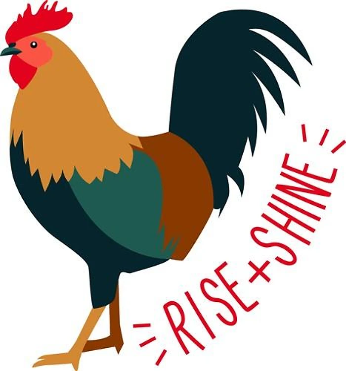 Rise And Shine Rooster