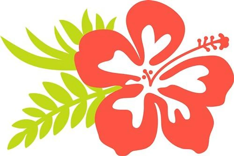 Hawaiian Flower
