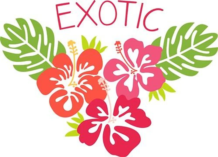 Exotic Hawaiian Flowers