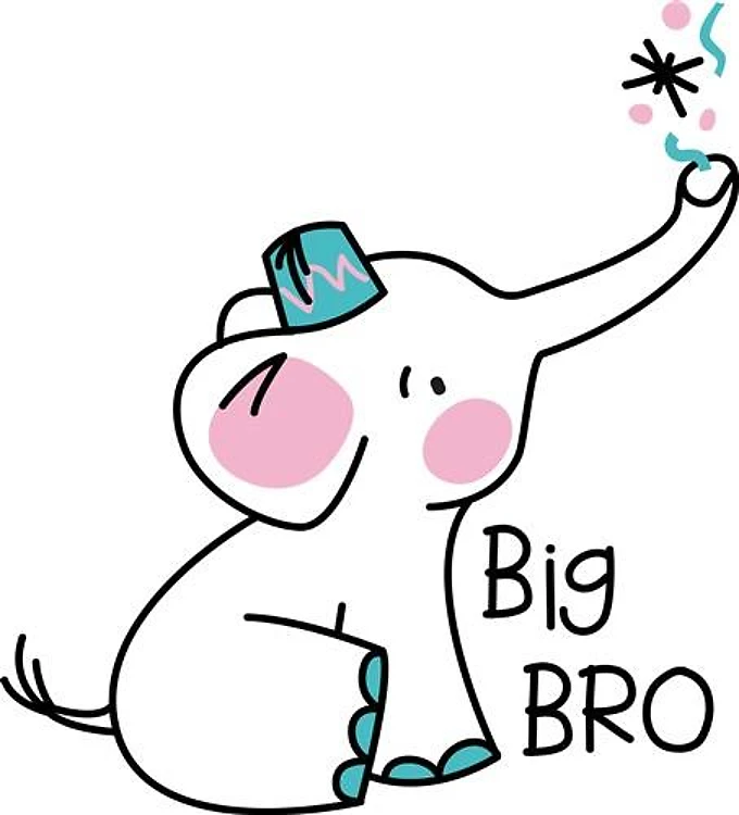 Big Bro