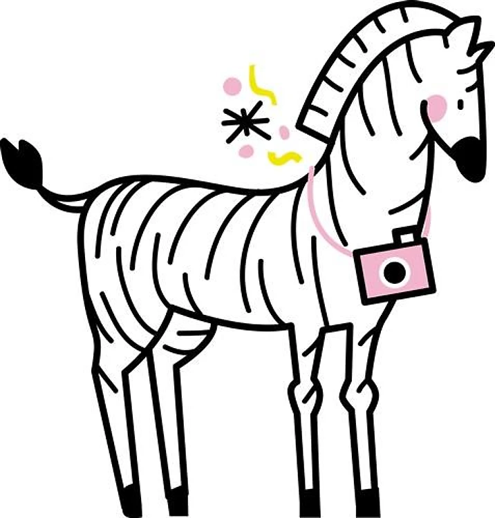 Party Zebra