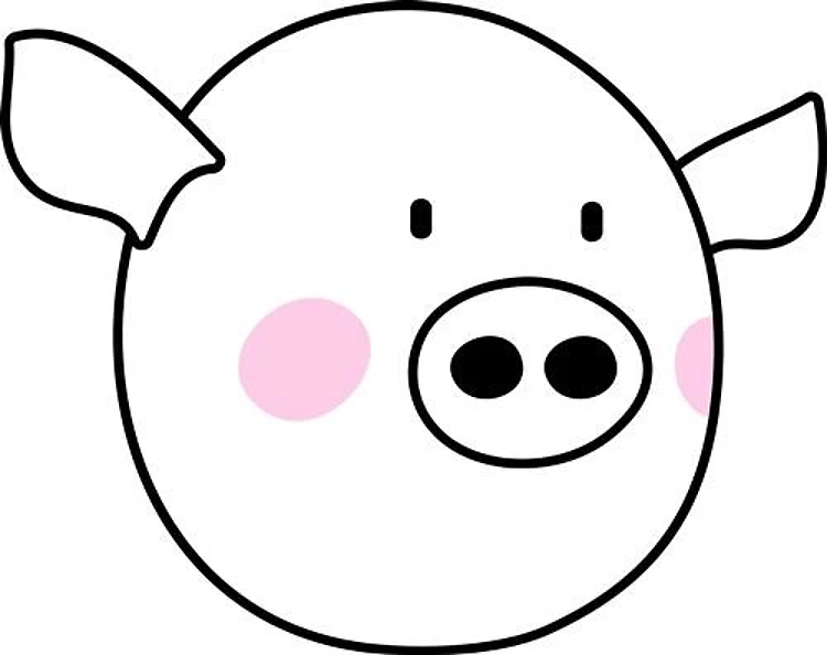 Pig Head