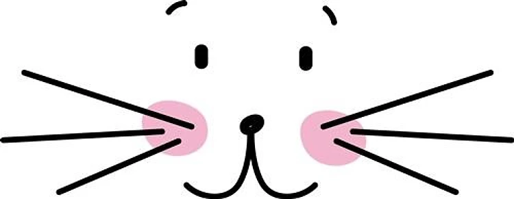 Bunny Face