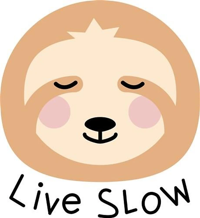 Sloth Live Slow