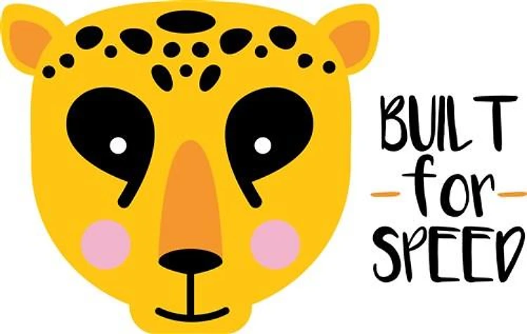 Cheetah Built for Speed