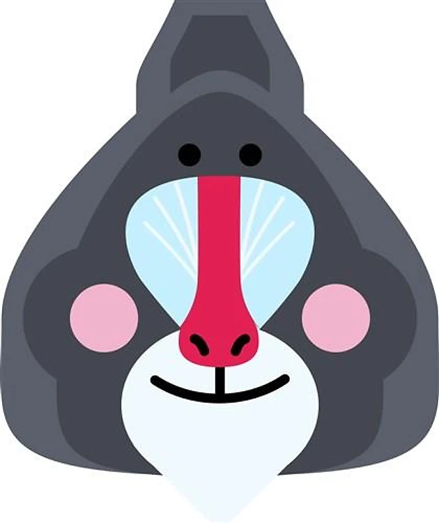 Baboon
