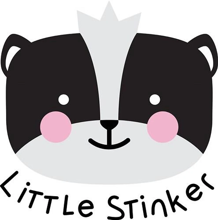 Little Stinker Skunk