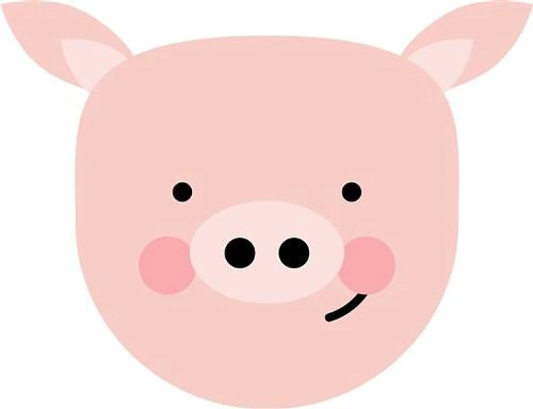 Pig