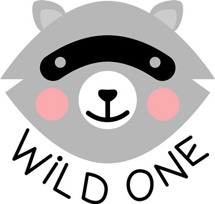 Raccoon Wild One