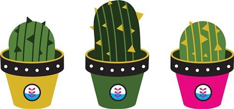 Cactuses Pots