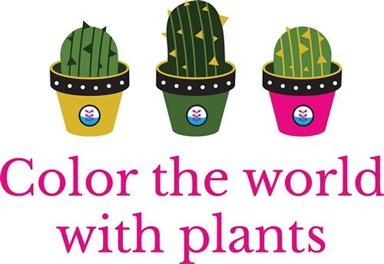 Color Cactus