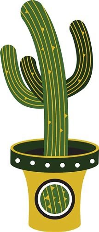 Potted Saguaro