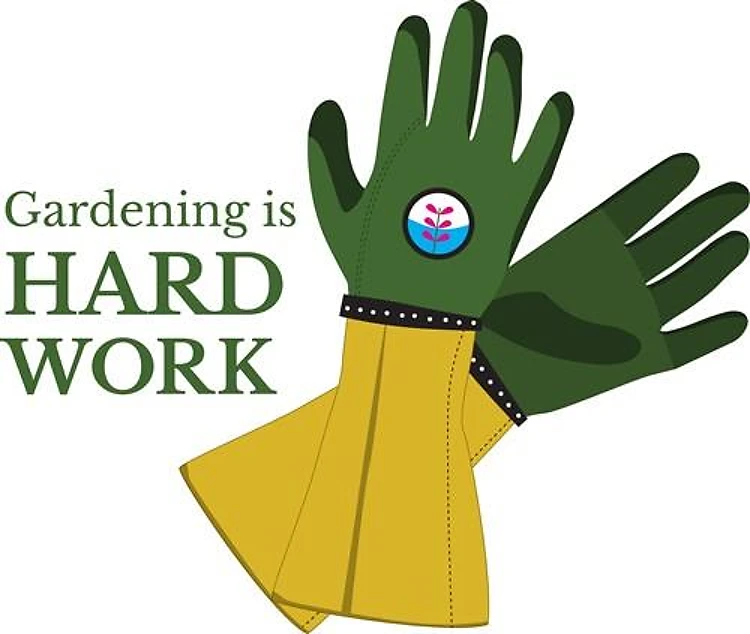 Hard Work