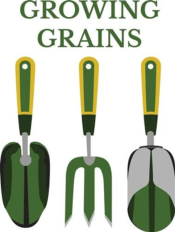 Growing Grains