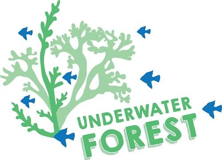 Underwater Forest