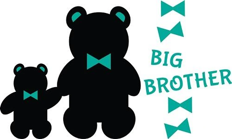 Big Brother