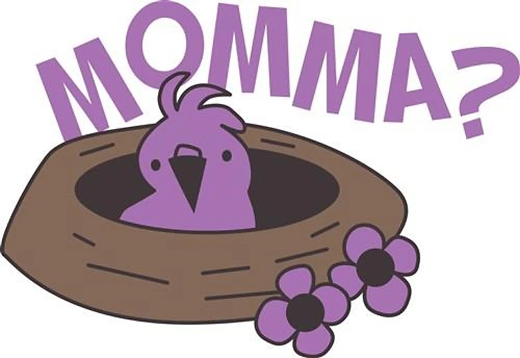 Momma Bird
