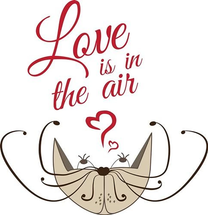 Love In Air