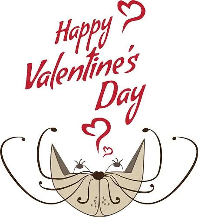 Happy Valentines Day