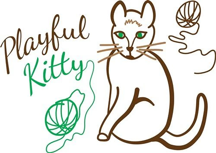 Playful Kitty