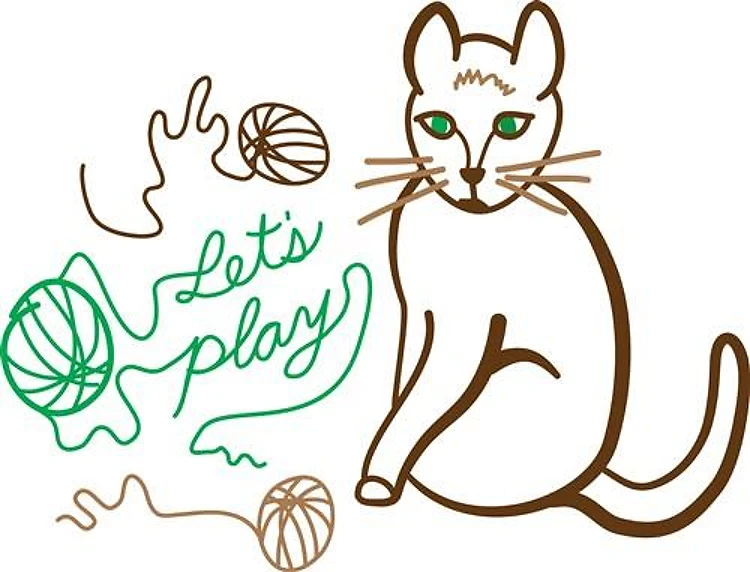 Lets Play Kitty