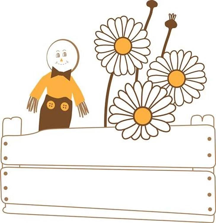 Daisy Field
